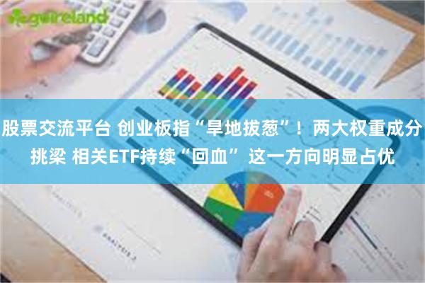 股票交流平台 创业板指“旱地拔葱”！两大权重成分挑梁 相关ETF持续“回血” 这一方向明显占优