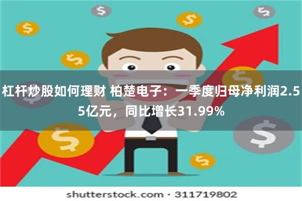 杠杆炒股如何理财 柏楚电子：一季度归母净利润2.55亿元，同比增长31.99%