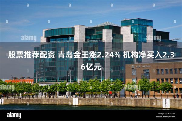 股票推荐配资 青岛金王涨2.24% 机构净买入2.36亿元