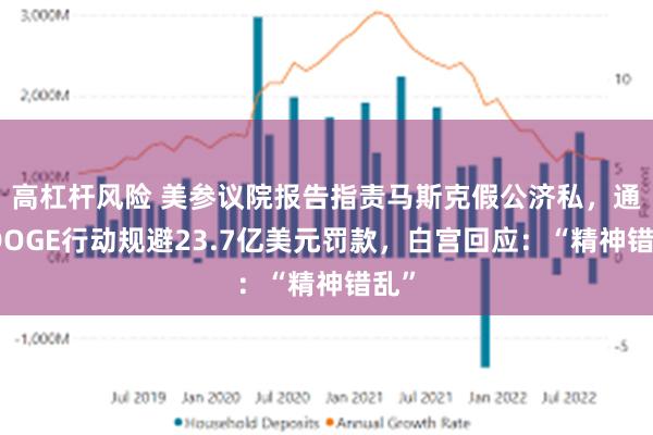 高杠杆风险 美参议院报告指责马斯克假公济私，通过DOGE行动规避23.7亿美元罚款，白宫回应：“精神错乱”