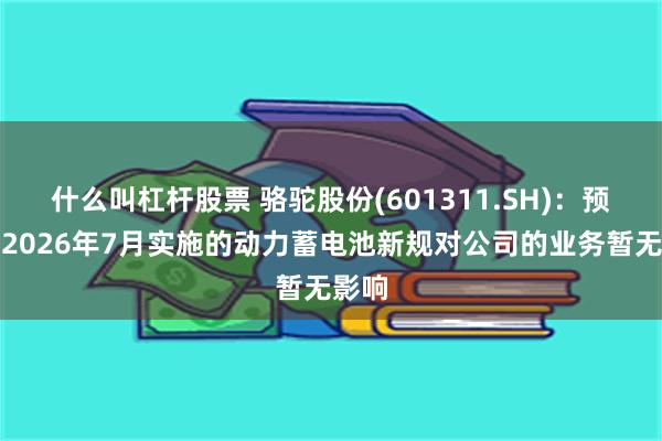 什么叫杠杆股票 骆驼股份(601311.SH)：预计于2026年7月实施的动力蓄电池新规对公司的业务暂无影响