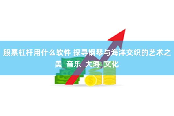 股票杠杆用什么软件 探寻钢琴与海洋交织的艺术之美_音乐_大海_文化