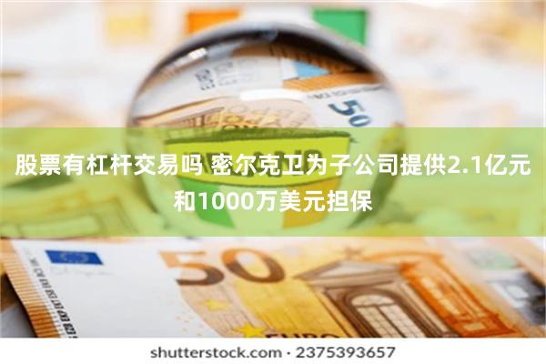 股票有杠杆交易吗 密尔克卫为子公司提供2.1亿元和1000万美元担保