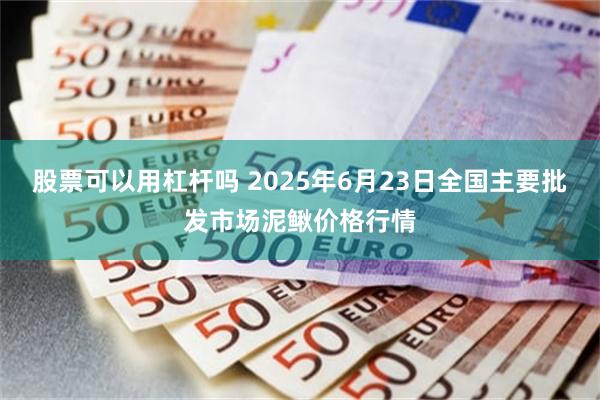 股票可以用杠杆吗 2025年6月23日全国主要批发市场泥鳅价格行情