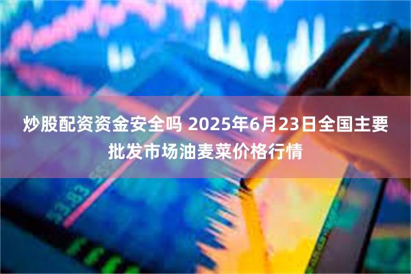 炒股配资资金安全吗 2025年6月23日全国主要批发市场油麦菜价格行情