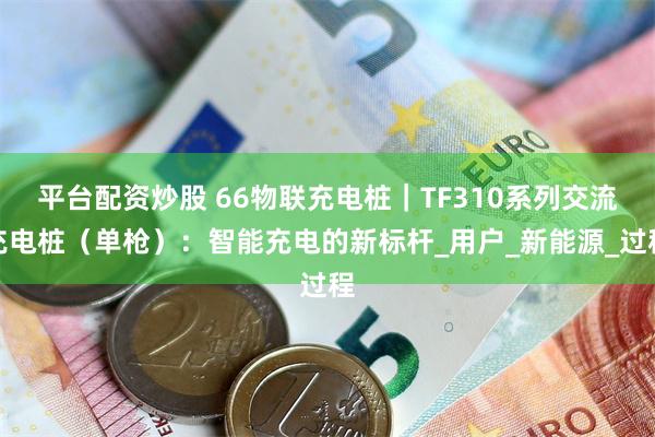 平台配资炒股 66物联充电桩｜TF310系列交流充电桩（单枪）：智能充电的新标杆_用户_新能源_过程