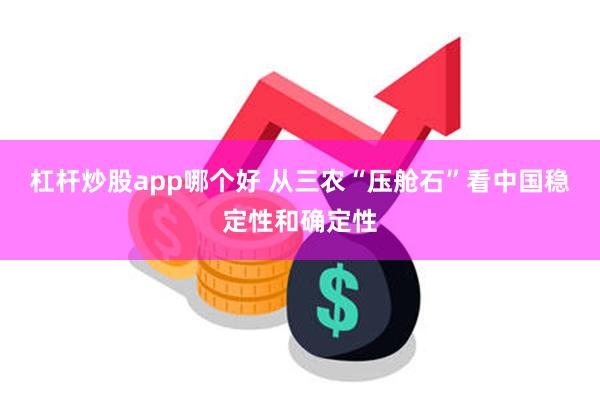 杠杆炒股app哪个好 从三农“压舱石”看中国稳定性和确定性