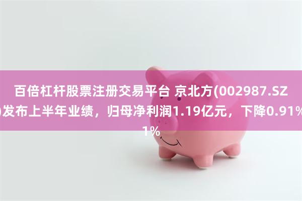 百倍杠杆股票注册交易平台 京北方(002987.SZ)发布上半年业绩，归母净利润1.19亿元，下降0.91%