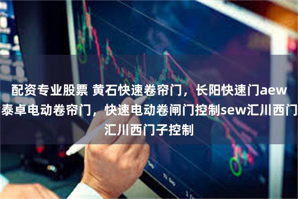 配资专业股票 黄石快速卷帘门，长阳快速门aew电控盾泰卓电动卷帘门，快速电动卷闸门控制sew汇川西门子控制